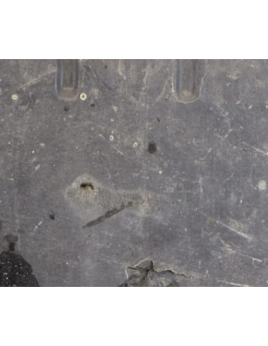 Cache sous moteur BMW X6 E71 PHASE 1 Diesel