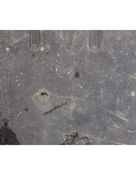 Cache sous moteur BMW X6 E71 PHASE 1 Diesel