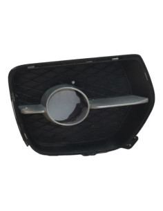 Grille de pare choc BMW X6 E71 PHASE 1 Diesel