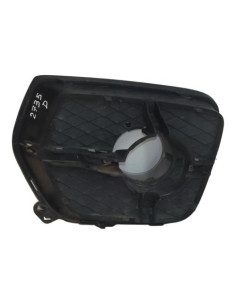 Grille de pare choc BMW X6 E71 PHASE 1 Diesel 2