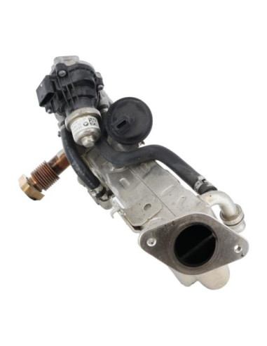 Radiateur EGR BMW SERIE 1 F40 Diesel