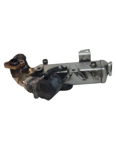 Radiateur EGR BMW SERIE 1 F20 PHASE 1 Diesel