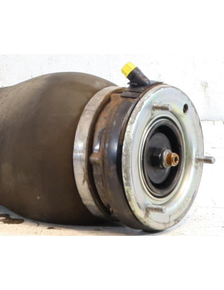 Suspension pneumatique avant gauche BMW X5 E53 