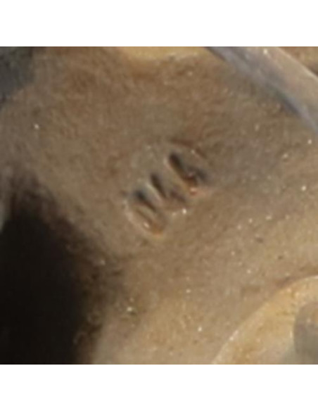 Fusee avant gauche BMW SERIE 3 E46 COMPACT PHASE 1 Diesel