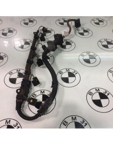 Faisceau moteur BMW X6 E71 PHASE 2 Diesel
