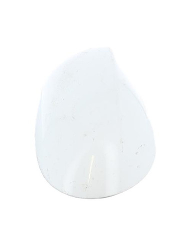 Coquille de retroviseur gauche BMW SERIE 1 E81 Diesel