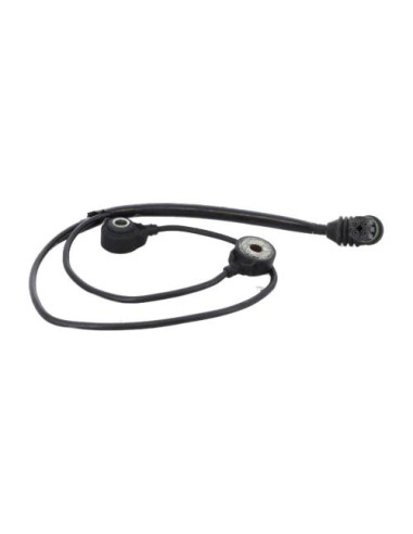 Capteur BMW X5 E53 Essence