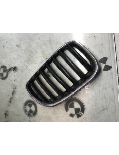 Grille de calandre droite BMW X5 E53 