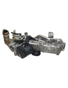 Radiateur EGR BMW X3 F25 PHASE 1 Diesel 2