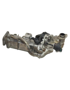 Radiateur EGR BMW SERIE 5 F10 PHASE 1 Diesel 2