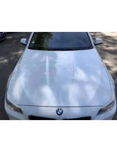 Charniere de capot BMW SERIE 5 F11 TOURING PHASE 1 BREAK Diesel 2