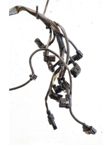 Faisceau moteur BMW SERIE 5 F11 TOURING PHASE 1 BREAK Diesel