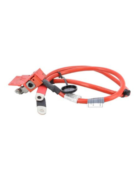 Cosse de batterie BMW SERIE 1 F21 PHASE 1 Diesel