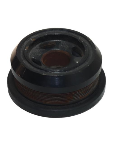 Poulie damper BMW X6 F16 Diesel