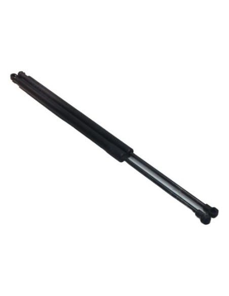 Verin de coffre BMW X5 E53 