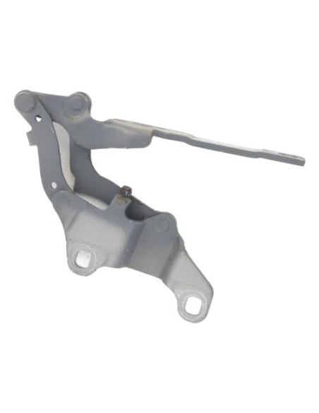 Charniere de capot BMW SERIE 3 E92 COUPE PHASE 1 Diesel