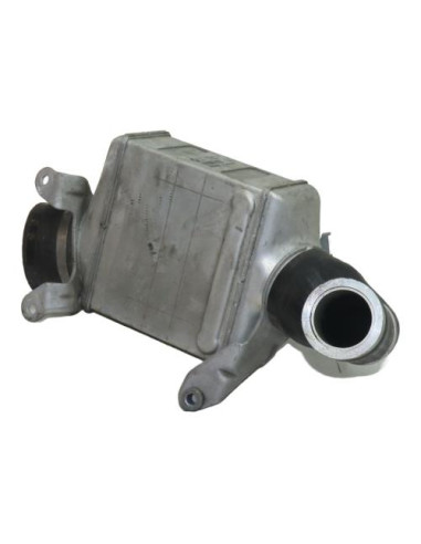 Echangeur air (Intercooler) BMW SERIE 5 F10 PHASE 1 Essence