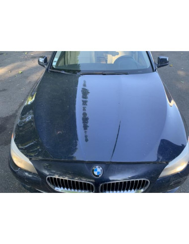 Vitre avant gauche BMW SERIE 5 F11 TOURING PHASE 1 BREAK Diesel