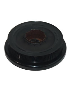 Poulie damper BMW SERIE 1 F20 PHASE 1 Diesel