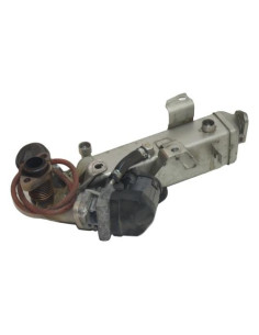 Radiateur EGR BMW SERIE 1 F20 PHASE 1 Diesel