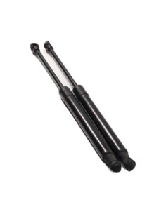 Verin de coffre BMW SERIE 1 E87 PHASE 2 Diesel 2