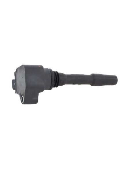 Bobine (allumage) BMW SERIE 1 F20 PHASE 2 Essence
