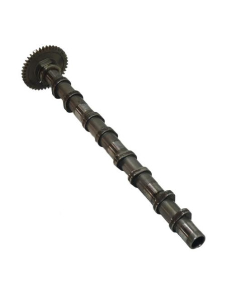 Arbre a came BMW SERIE 3 E90 PHASE 2 Diesel