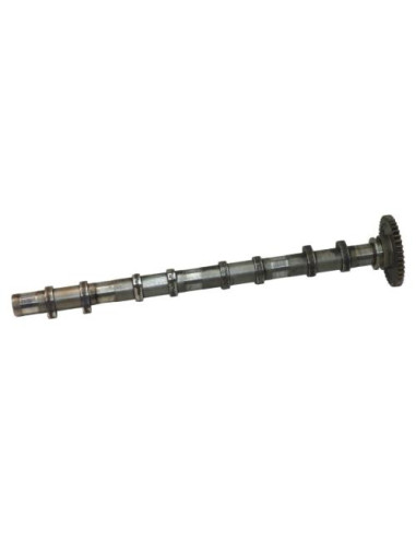 Arbre a came BMW SERIE 3 E90 PHASE 2 Diesel