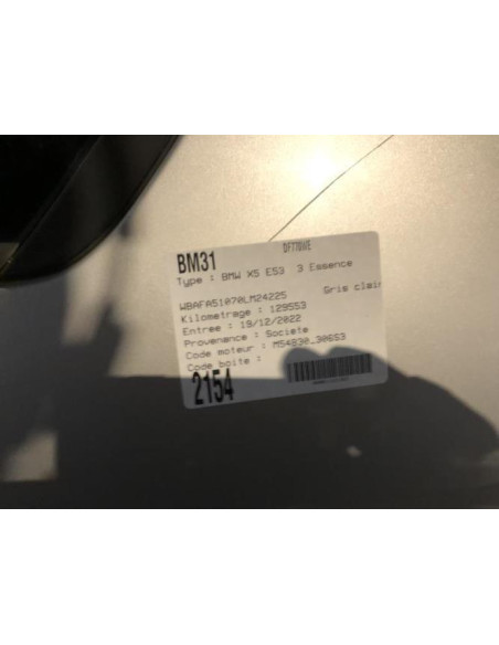 Porte arriere gauche BMW X5 E53 Essence