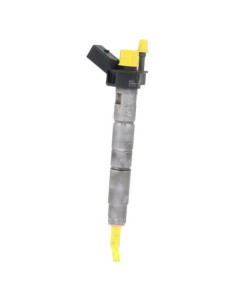 Injecteurs BMW SERIE 5 G30 PHASE 1 Diesel