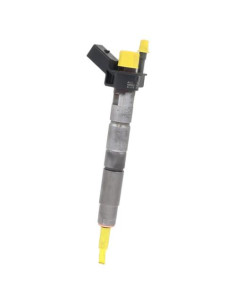 Injecteurs BMW SERIE 5 G30 PHASE 1 Diesel